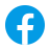 icons8 facebook logo 48